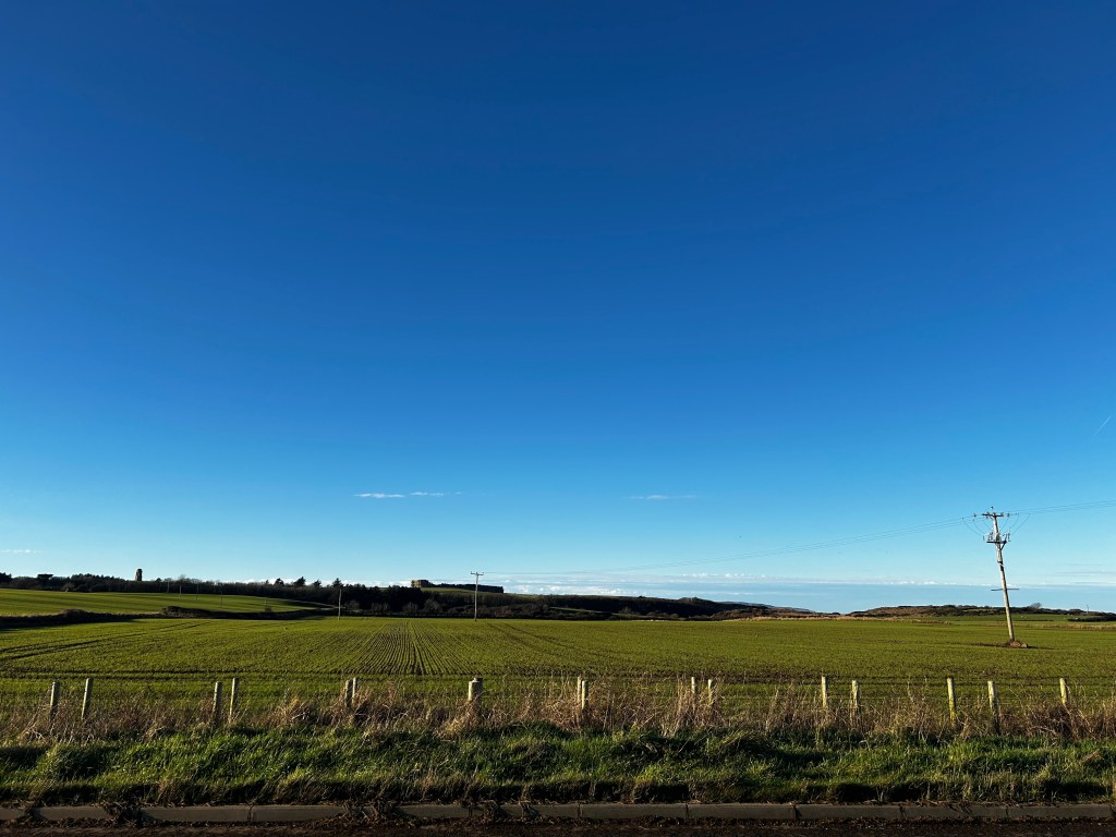 Castle Rock & Dog&nbsp;Prayers