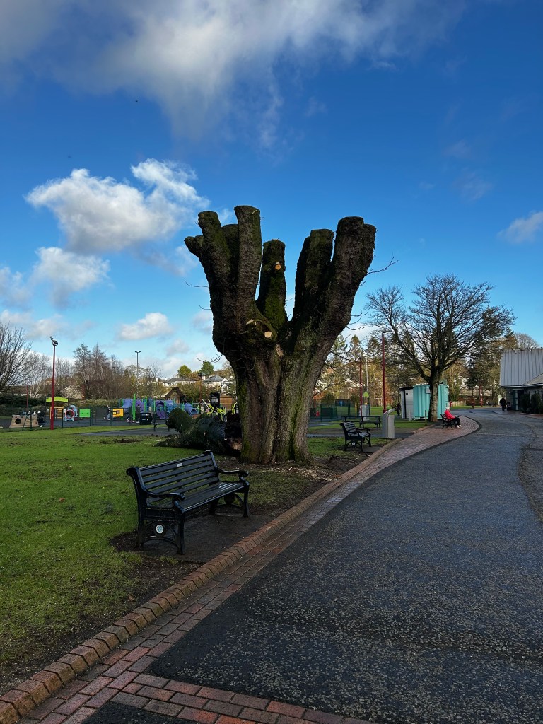 Catch ups and Church&nbsp;town