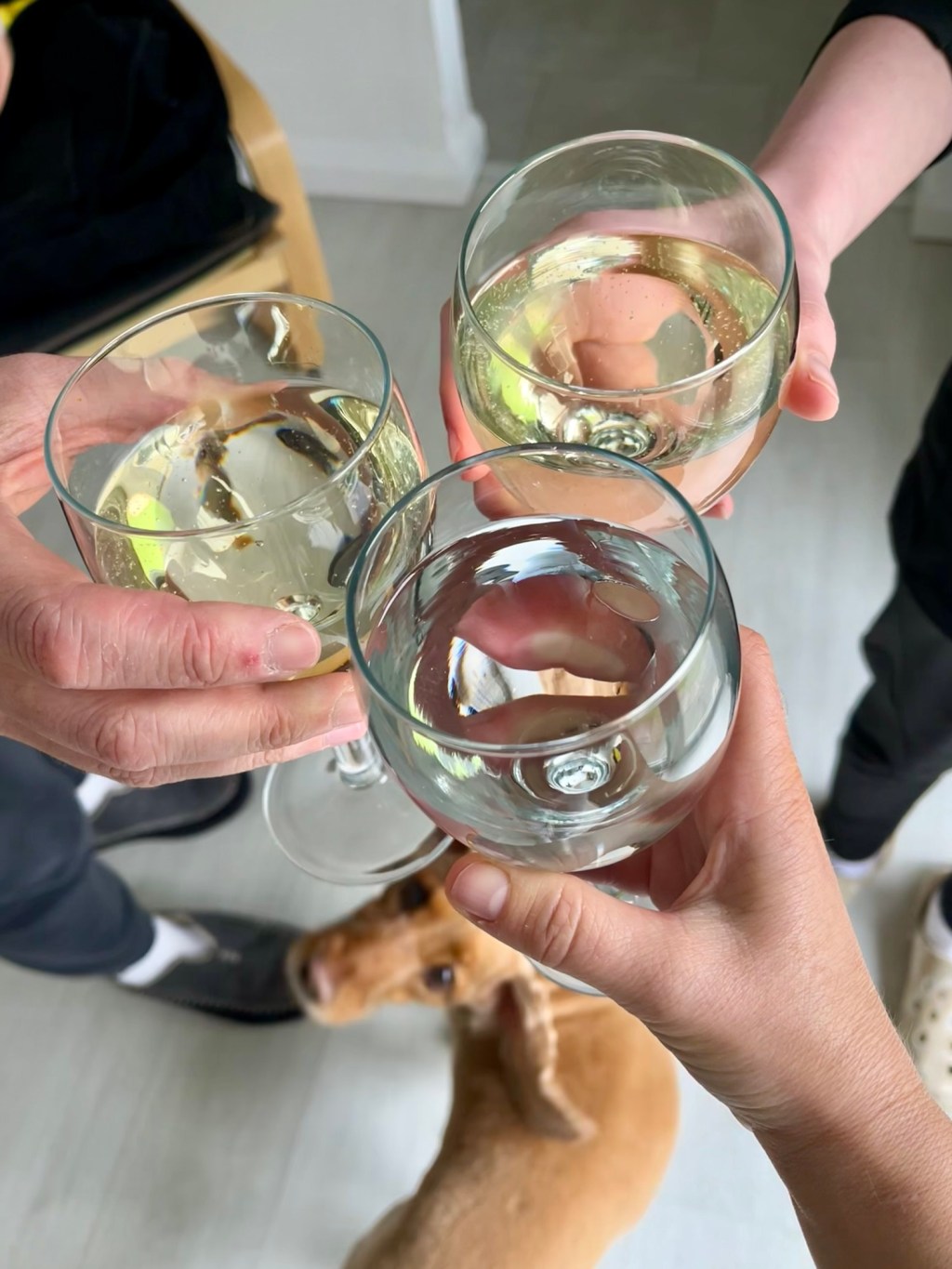 A landmark day for theonehundredyearsproject