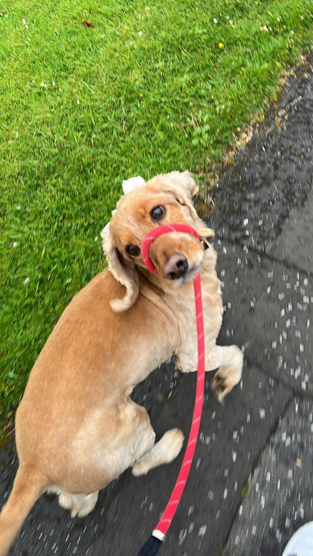 When a plan doesn’t come&nbsp;together