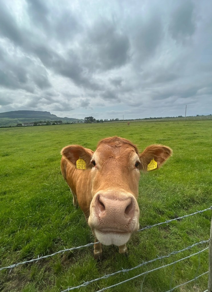 First Prayer Gathering!