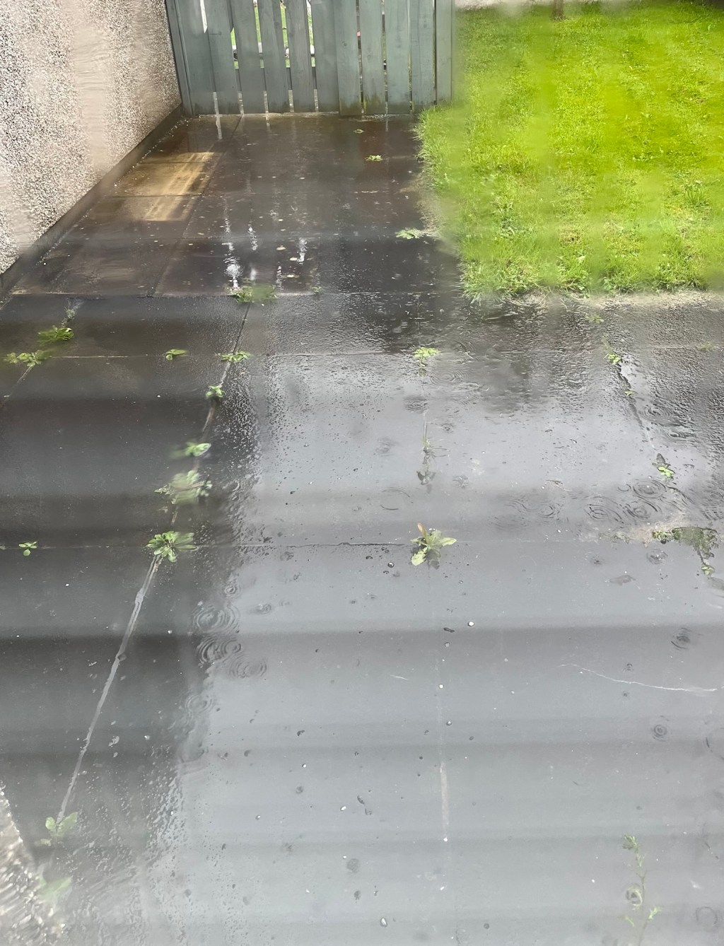 The week that&nbsp;rained!