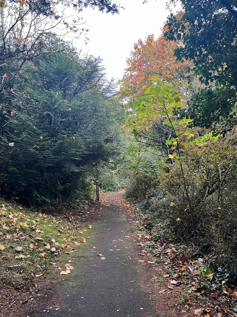 Walks, Laptops, sickness, football……..another different&nbsp;week!