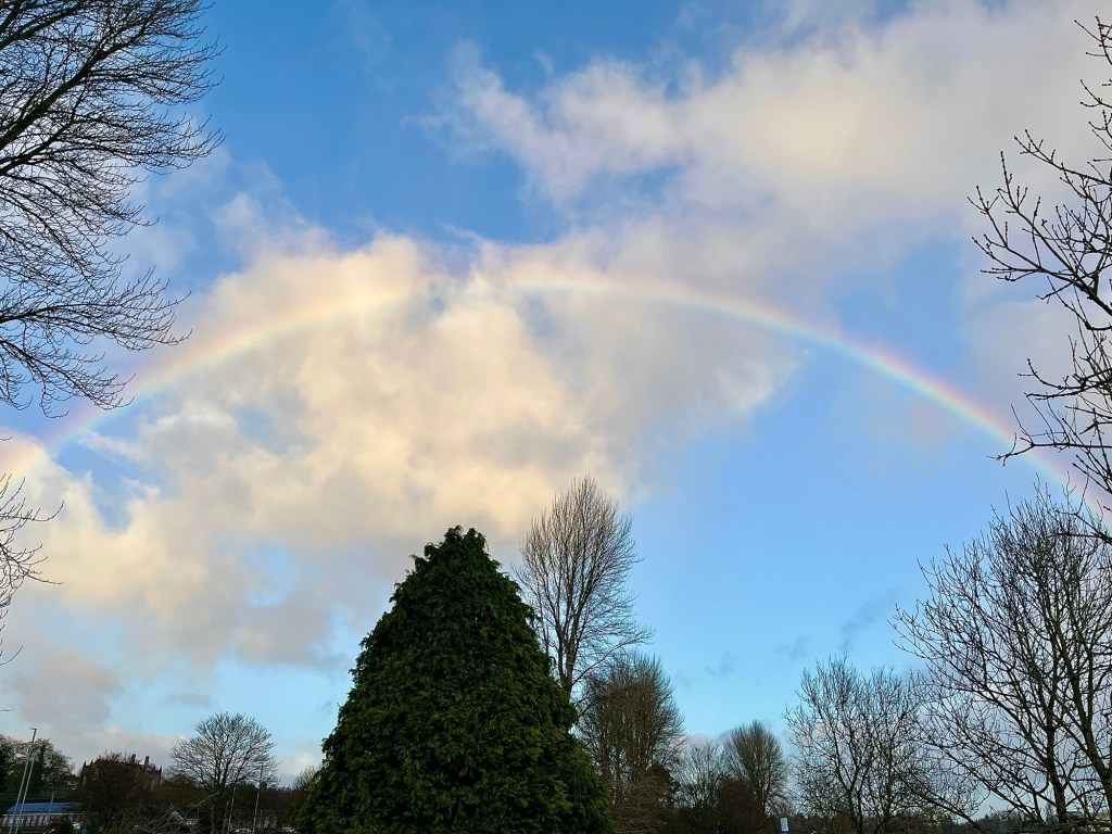 Walks, Talks and&nbsp;Rainbows